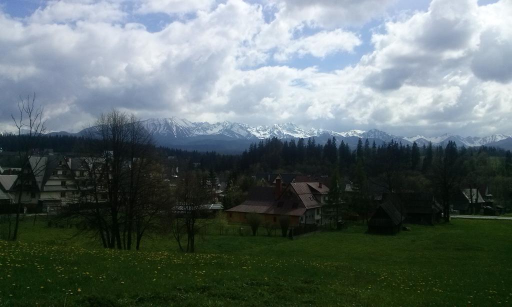 Willa Pod Jodla Poronin Bagian luar foto